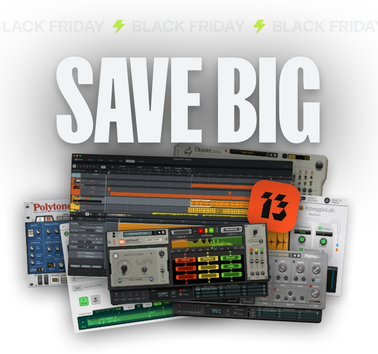 Black Friday Campaign Banner